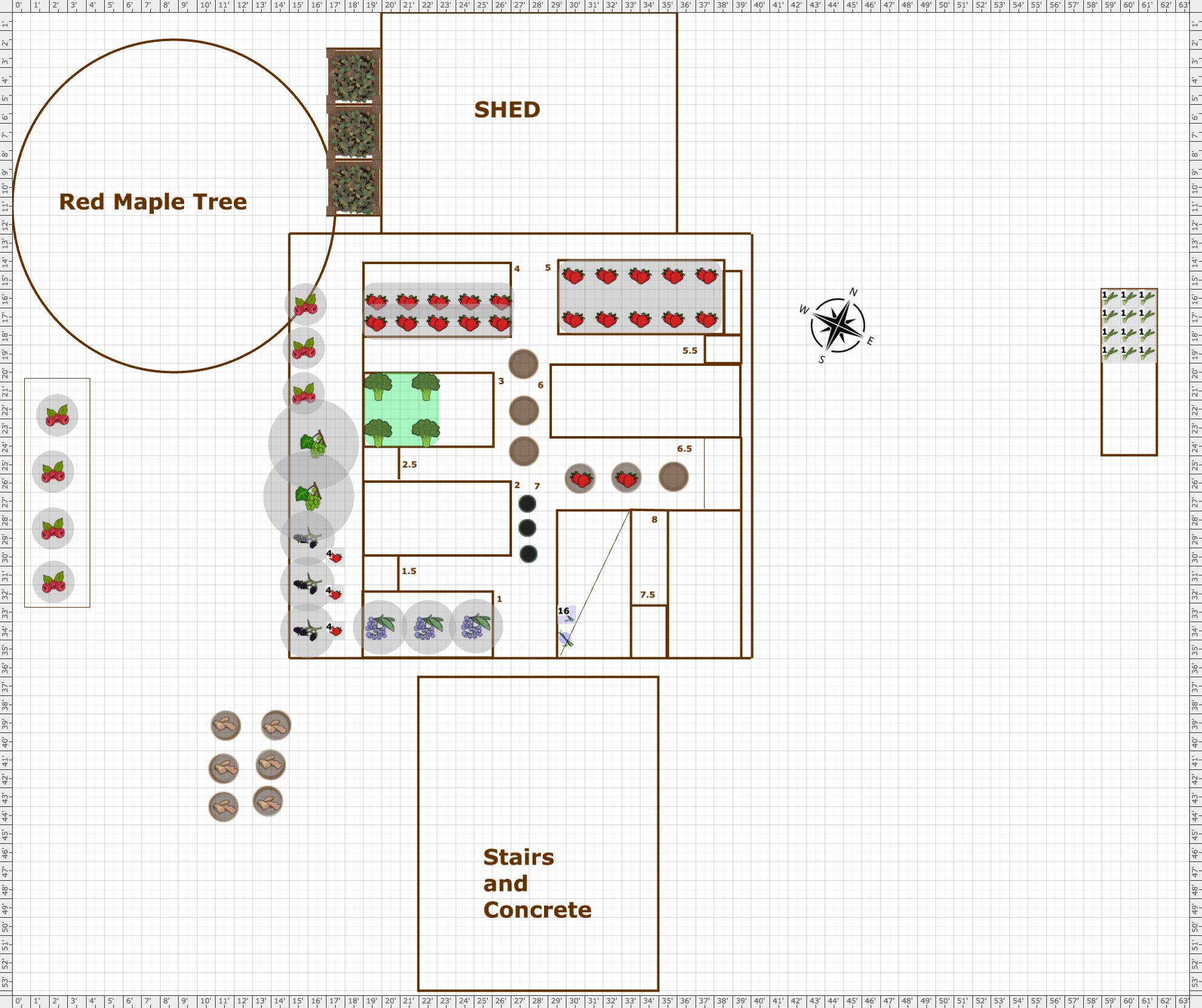 Garden Plan - 2025: veg garden ver 1