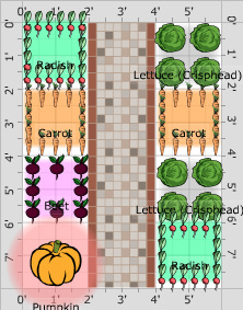 Garden Plan - 2019: P1