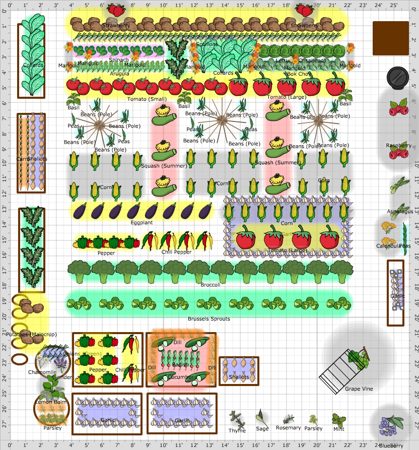 Garden Plan - Year 4