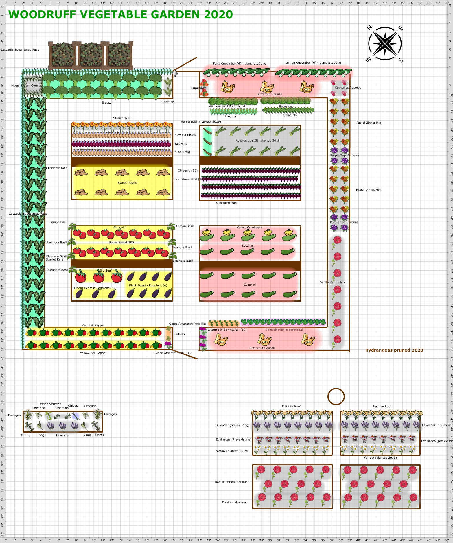 Garden Plan - 2020: Woodruff