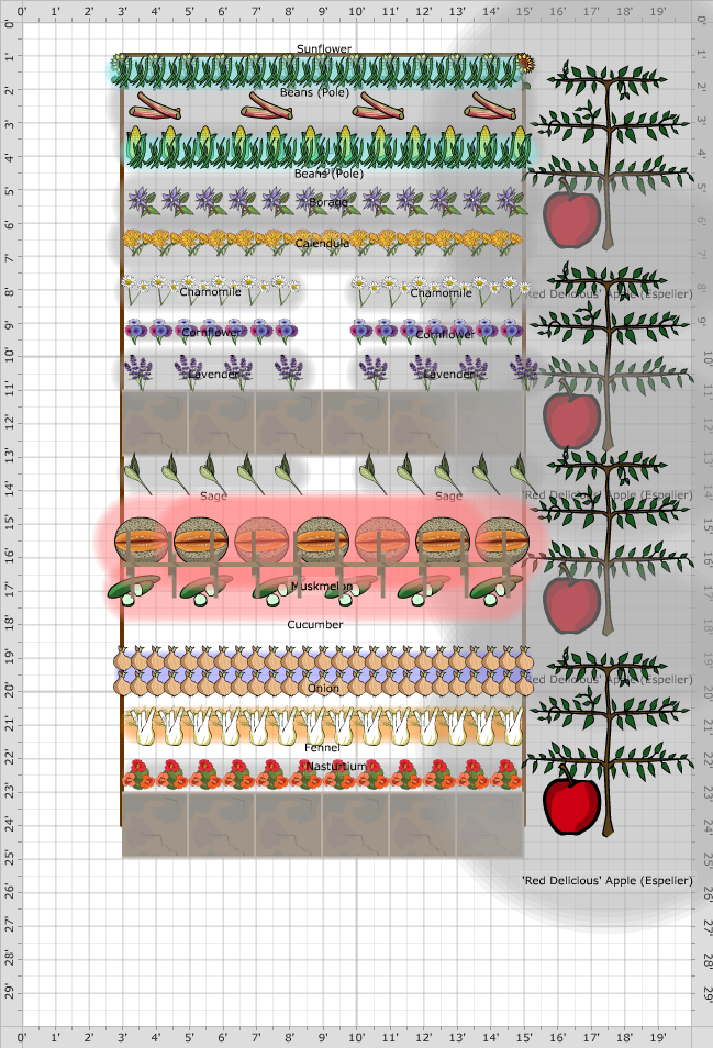 Garden Plan - 2020: Allotment 83