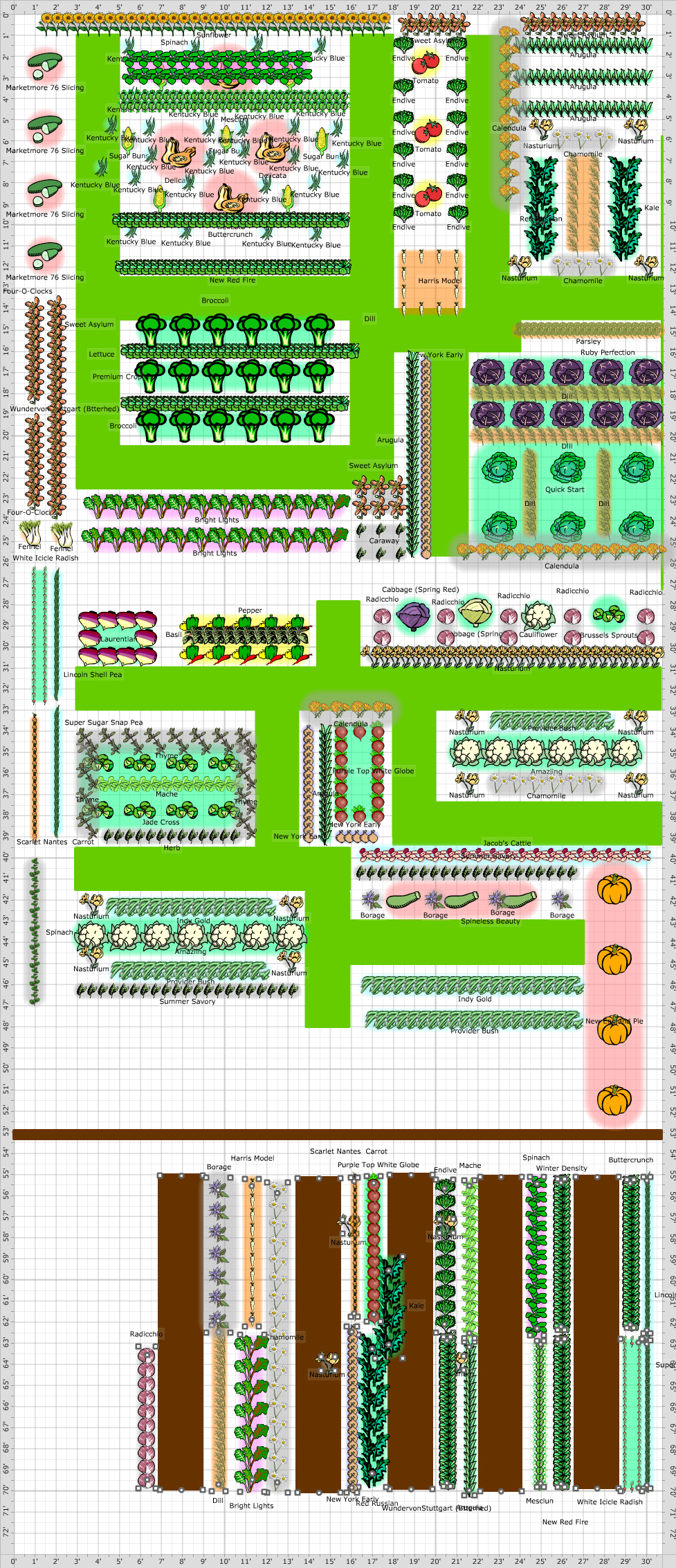 Garden Plan   2011: Vegetable Garden