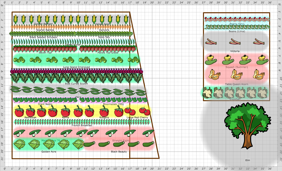 Garden Plan - 2020: Backyard