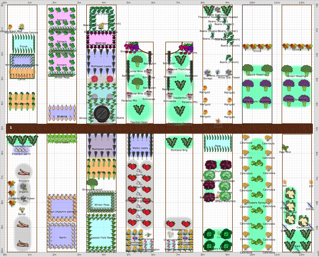 Garden Plan - Corfe Allotment