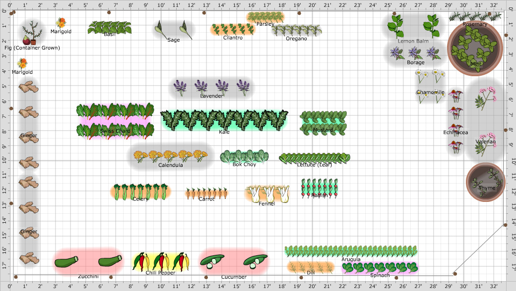 tea garden layout planner