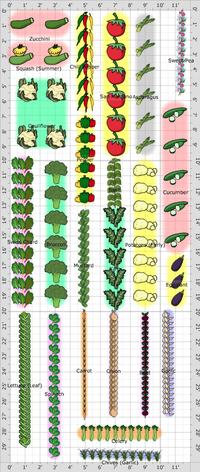 Garden Plan - 2020: Backyard Garden