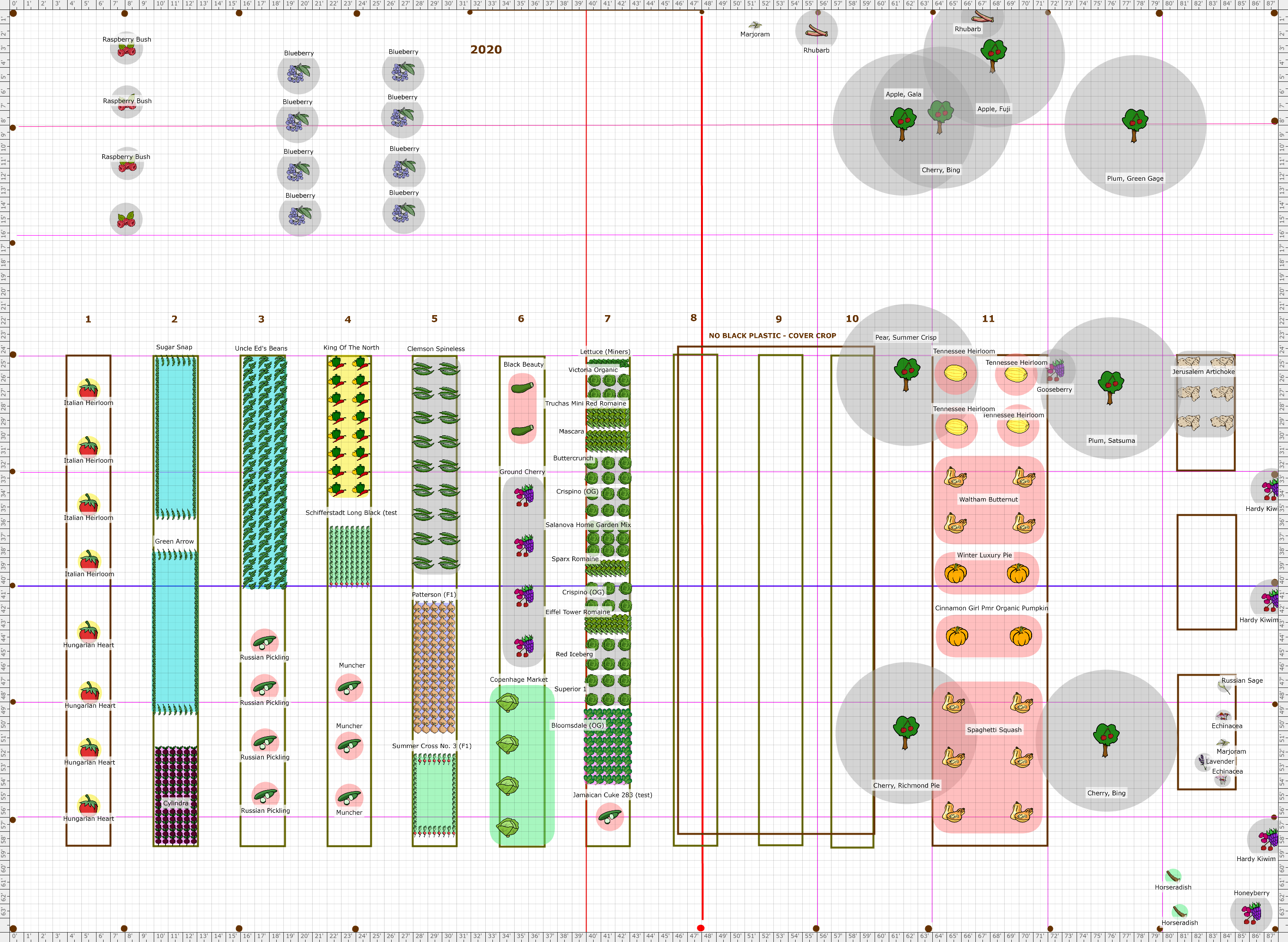 Garden Plan - 2020: Main Garden