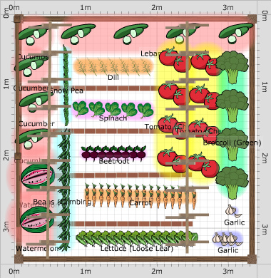 Garden Plan - 2020: Vegie patch