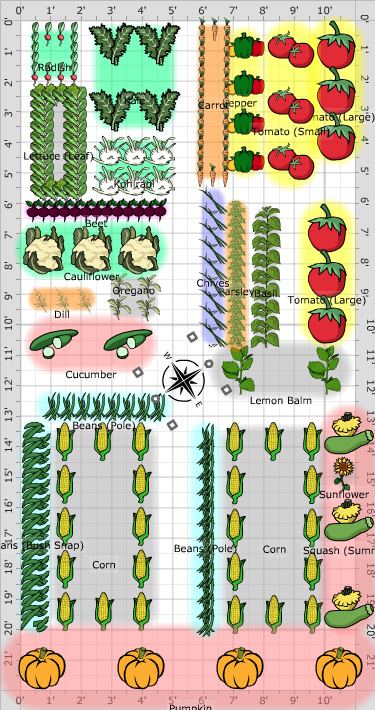 Garden Plan - 2020: option 3