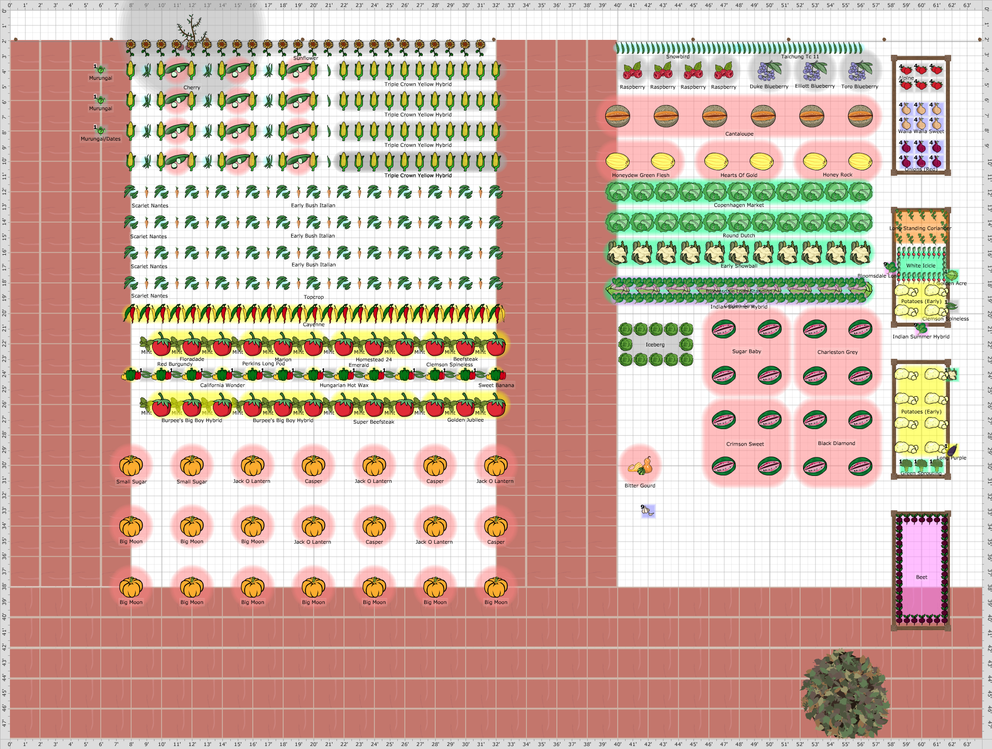 Garden Plan - 2020: Garden