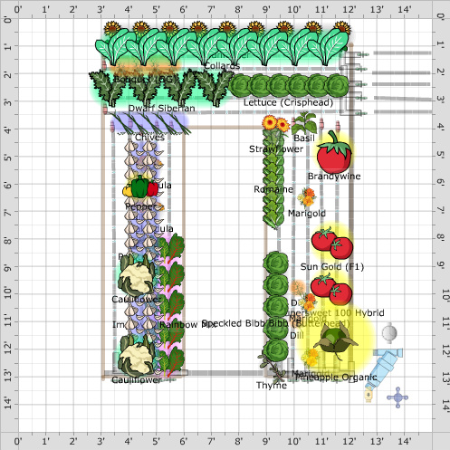 Garden Plan - 2020: pam