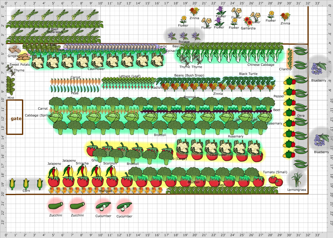 Garden Plan - 2020: Main