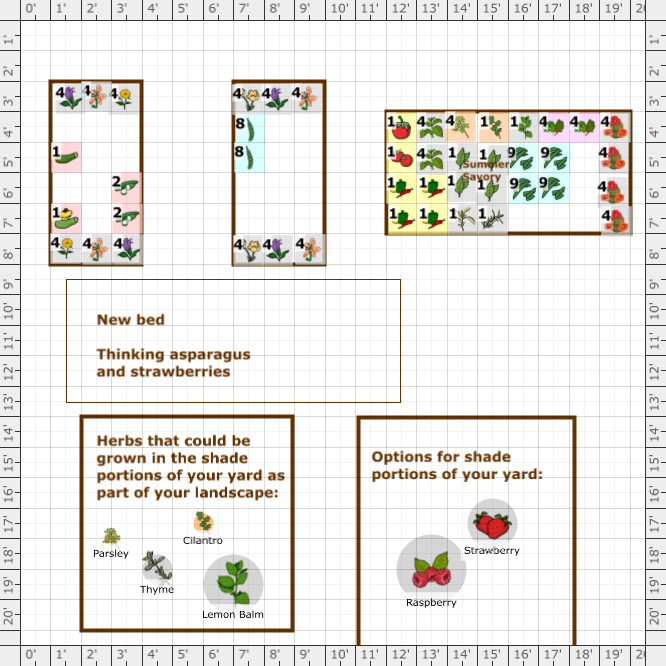 Garden Plan - 2020: Maria's Garden