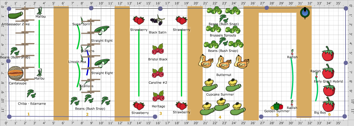 Garden Plan - Community Garden -May