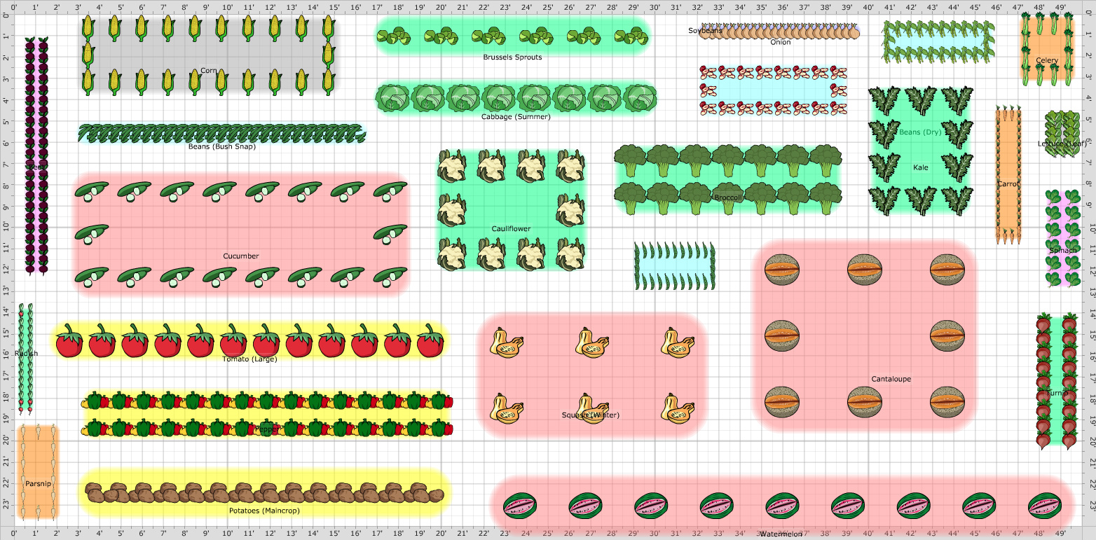 Garden Plan - 2020: Backyard Garden