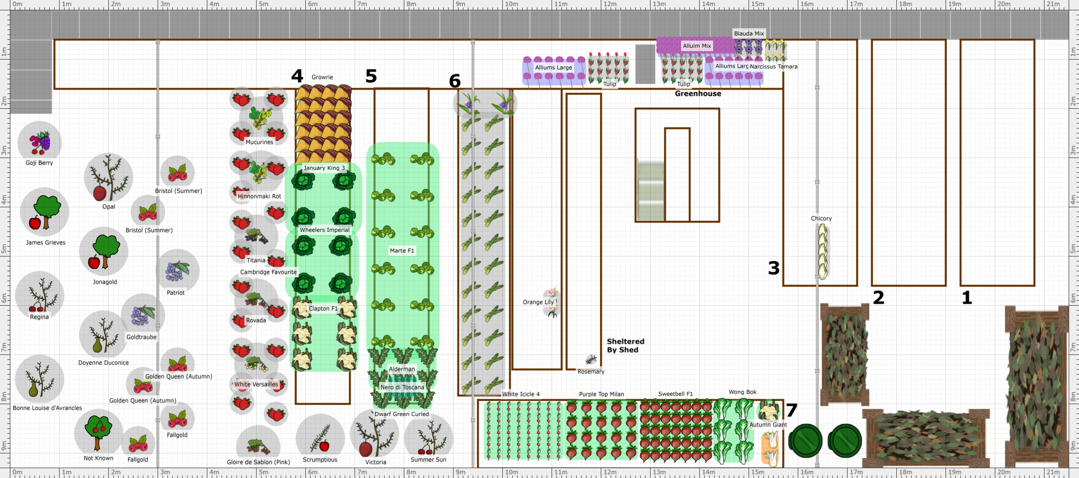 Garden Plan - 2nd Allotment