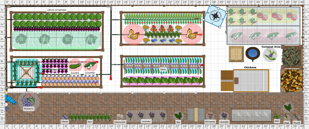 Garden Plan - 2022: Small Garden