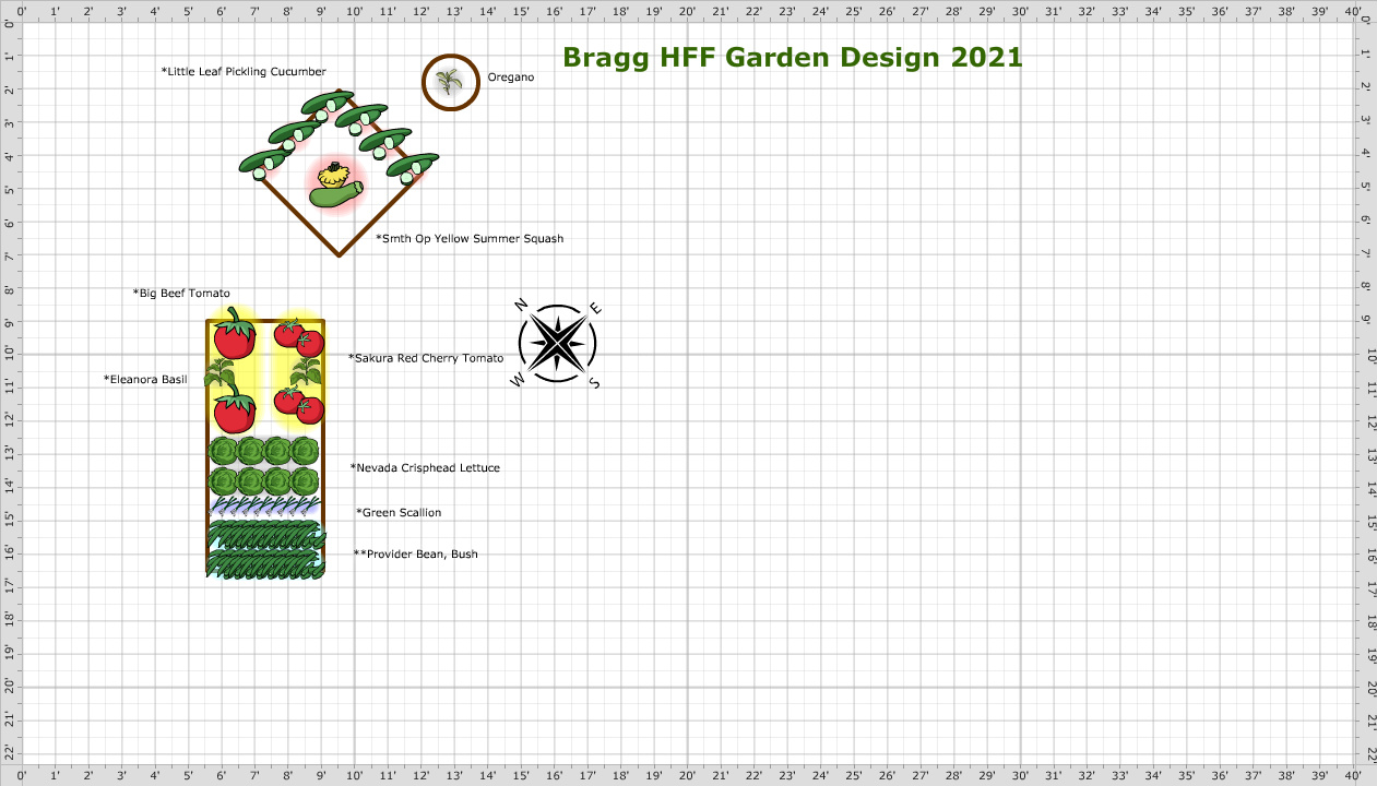 Garden Plan - 2021: Bragg