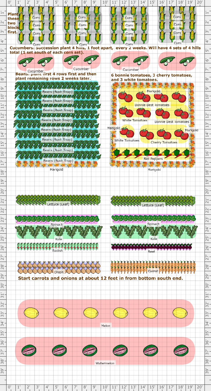 Garden Plan - 2021: 2021 Veggie Garden