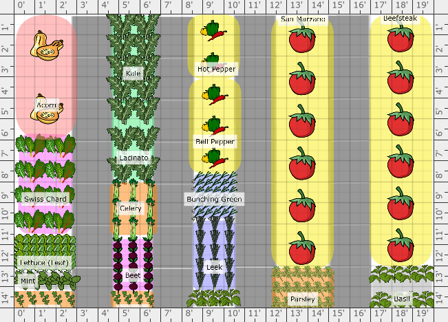 Garden Plan - 2021: Garden 2021