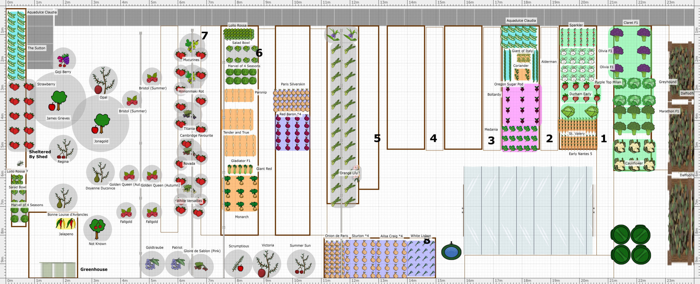 Garden Plan 2022 2nd Allotment