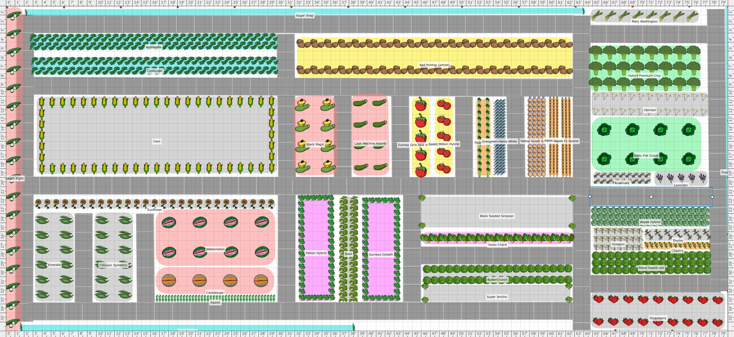 Garden Plan - 2022: Vegetable Garden1