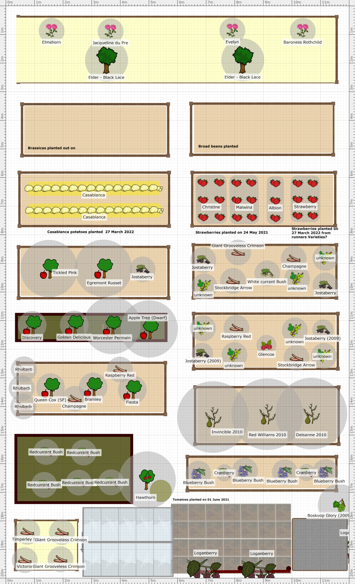 Garden Plan - 2022: Plot 42