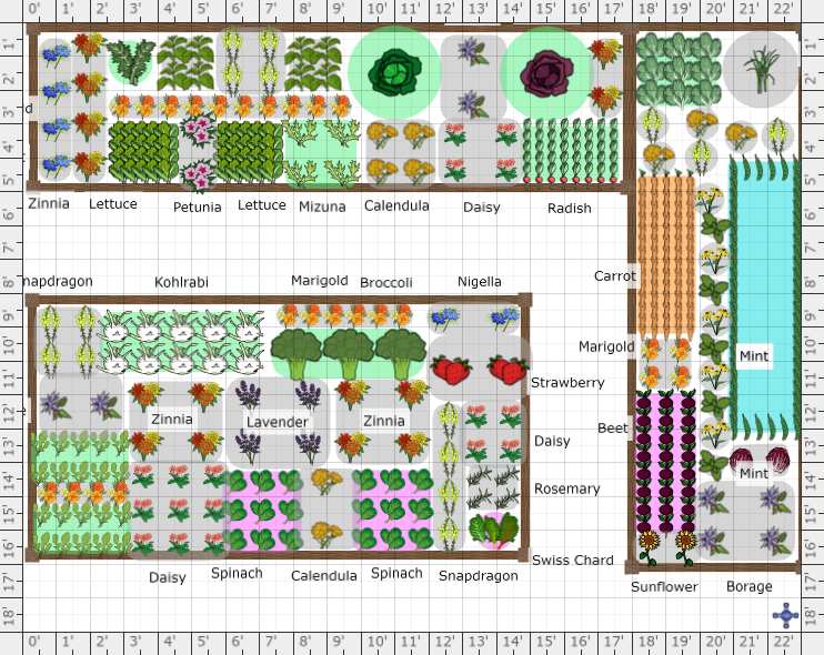 Garden Plan - 2023: Greens