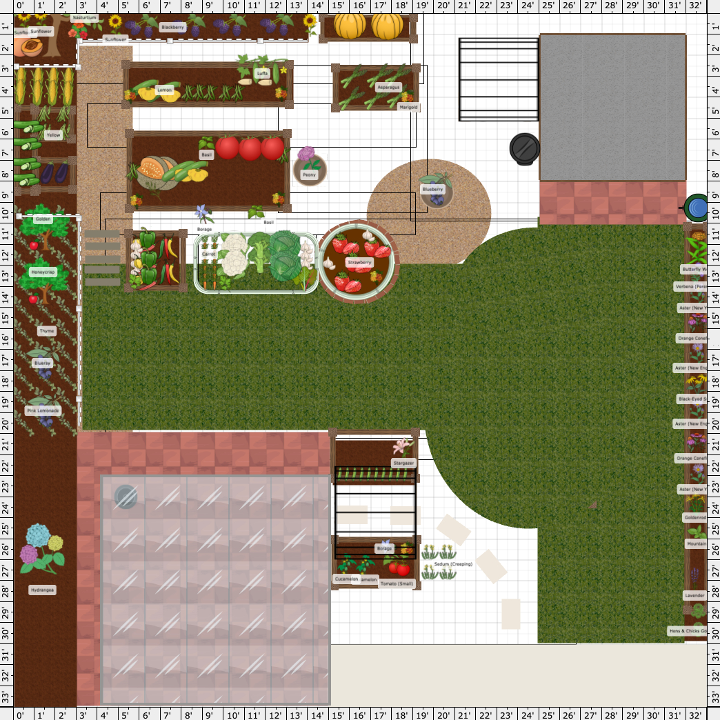 Garden Plan - 2024: Spring Veg