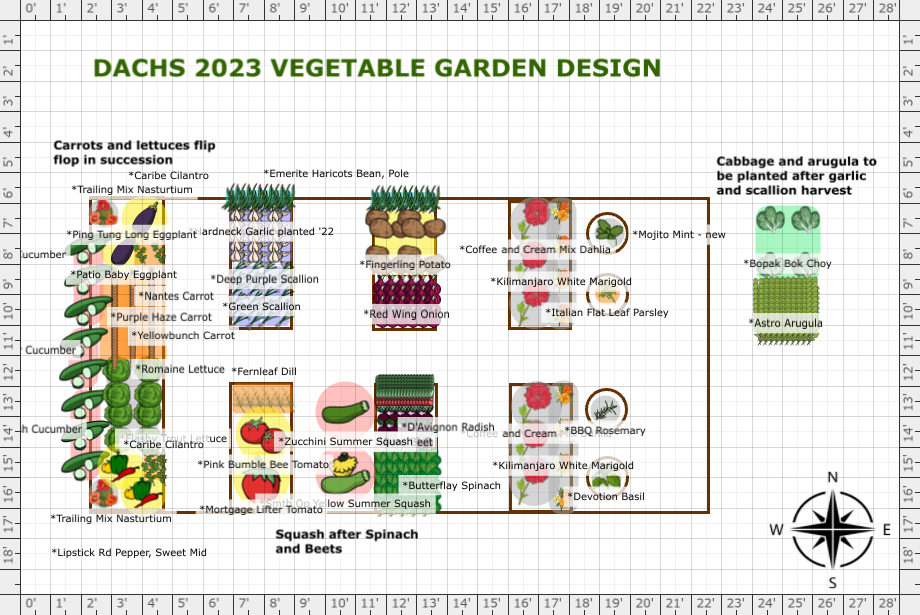 Garden Plan - 2023: Dachs, Ann