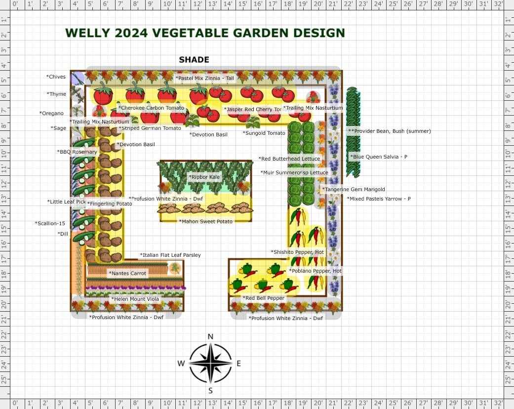 Garden Plan - 2024: Welly - new garden