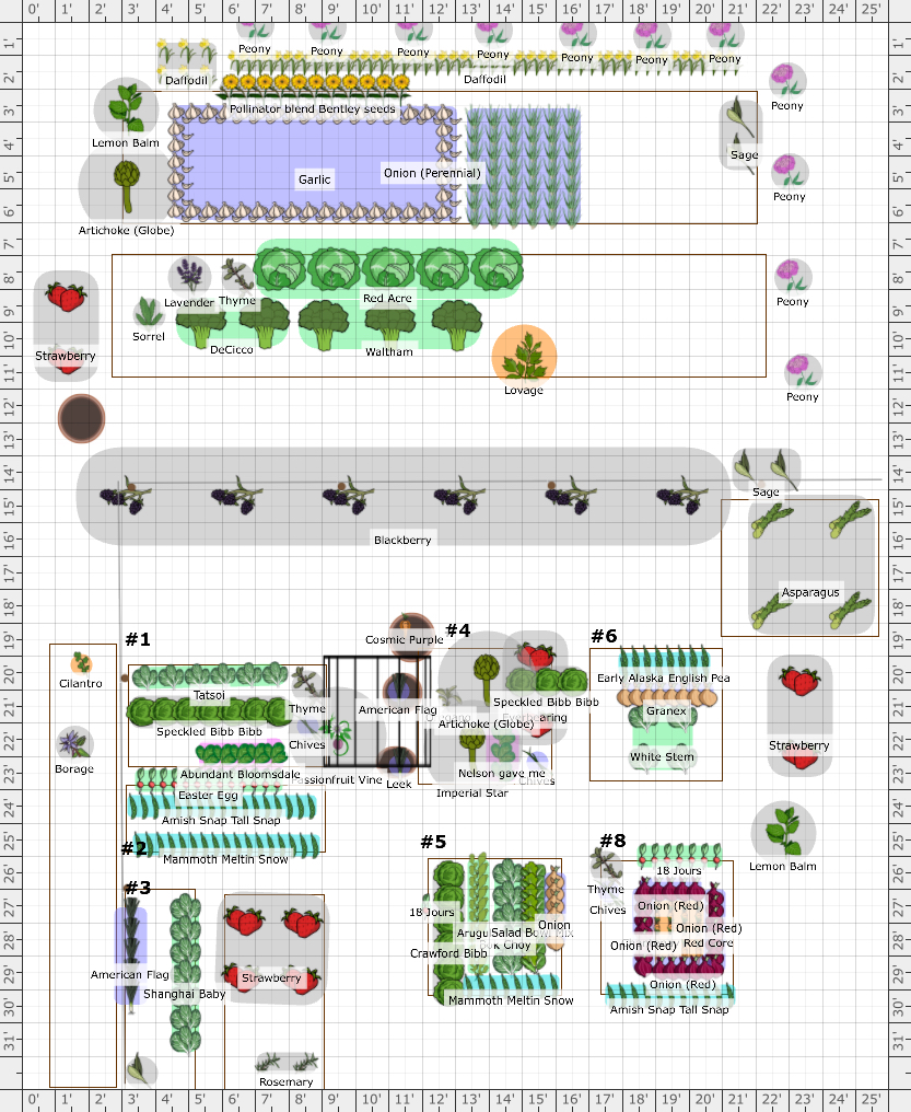 Garden Plan - 2024: Kitchen & Backyard 2024