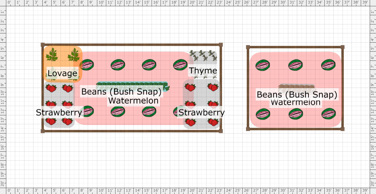 Garden Plan 2024 Kitchen Gardens   1696568 