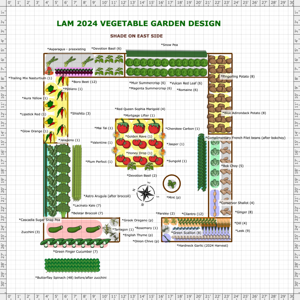 Garden Plan - 2024: Lam, Andrew