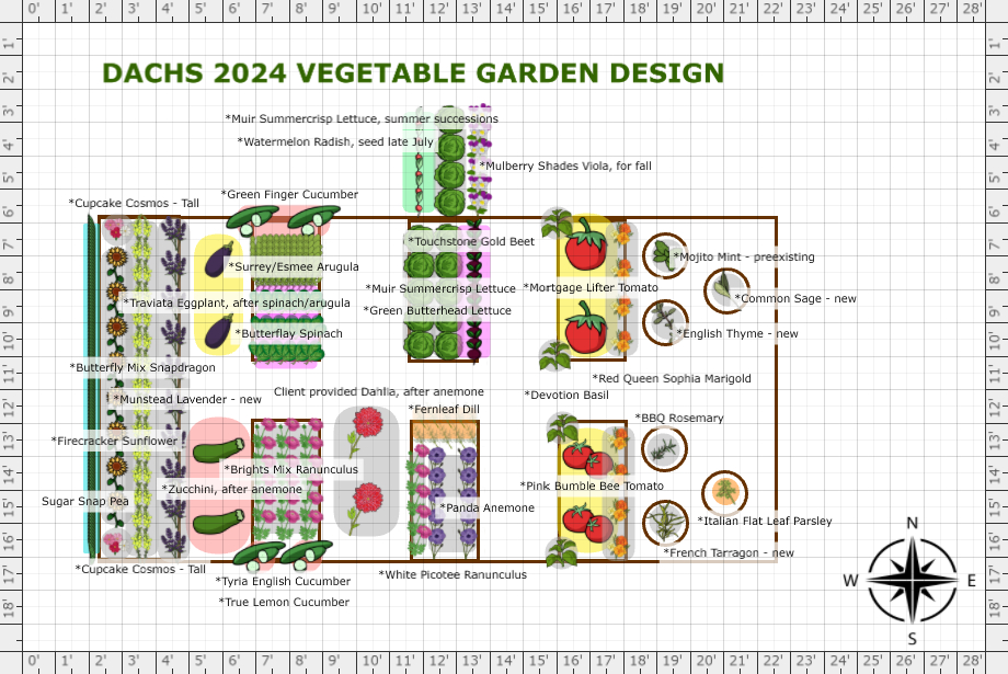 Garden Plan - 2024: Dachs, Ann