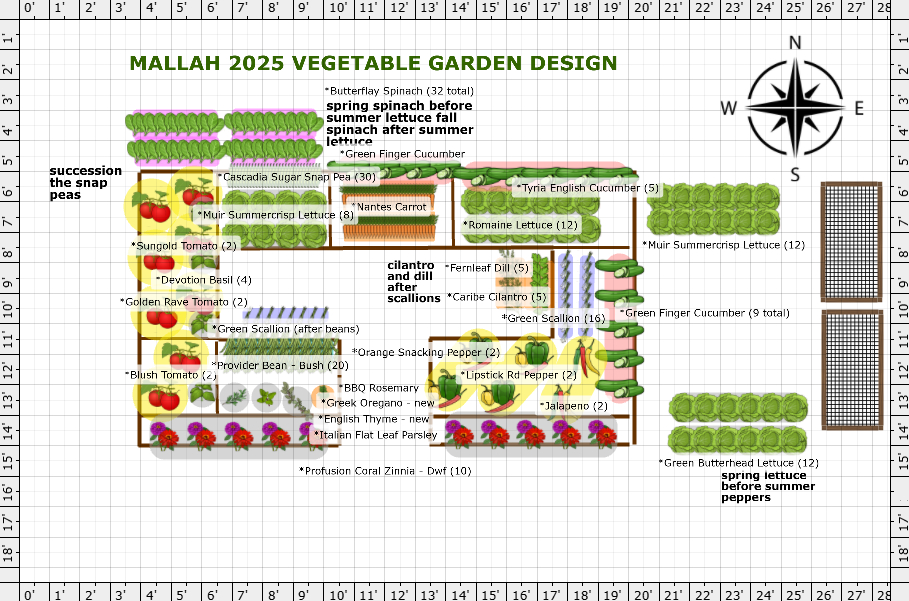 Garden Plan - 2025: Mallah