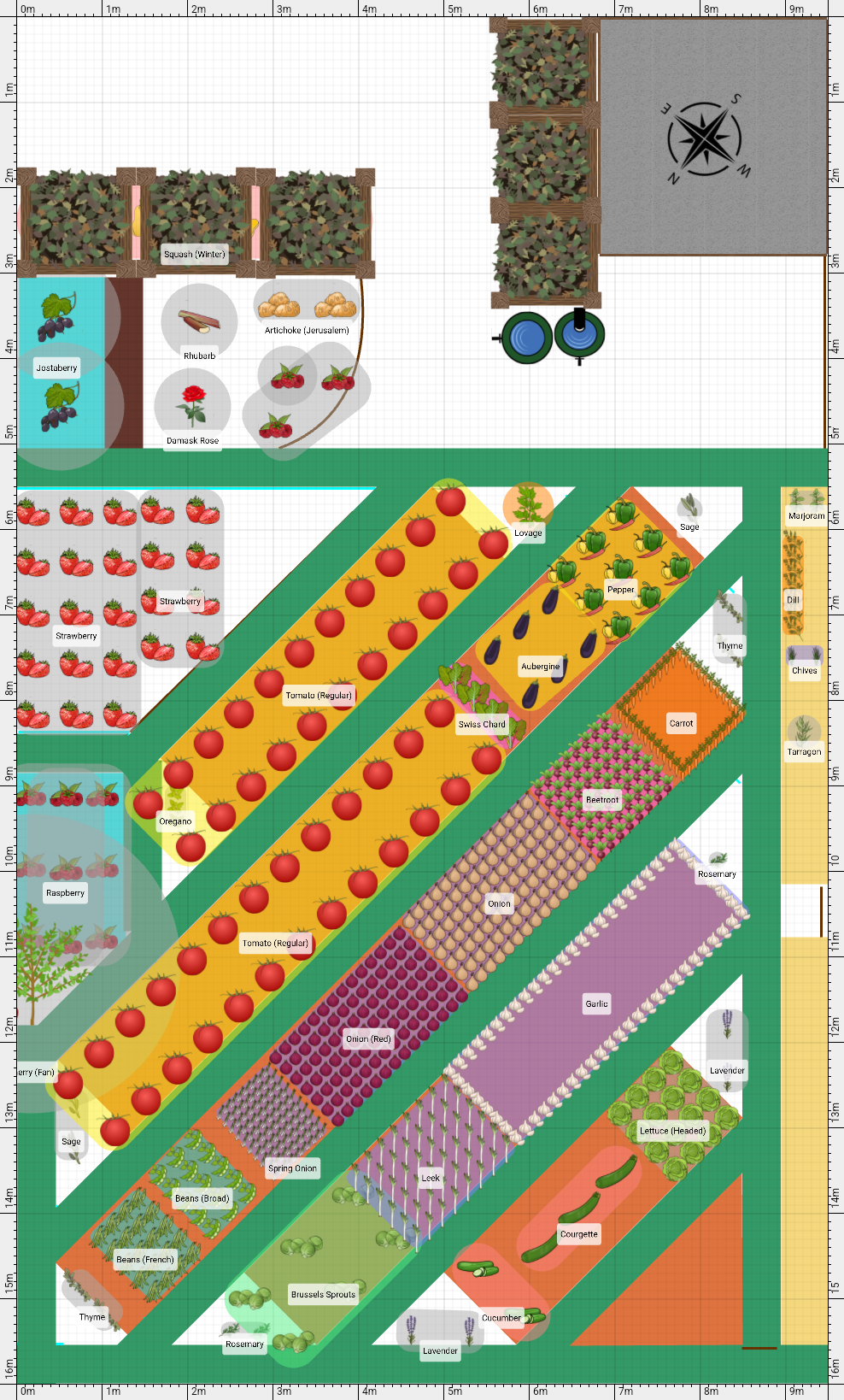 Garden Plan - 2025: T&Bs Allotment 2025