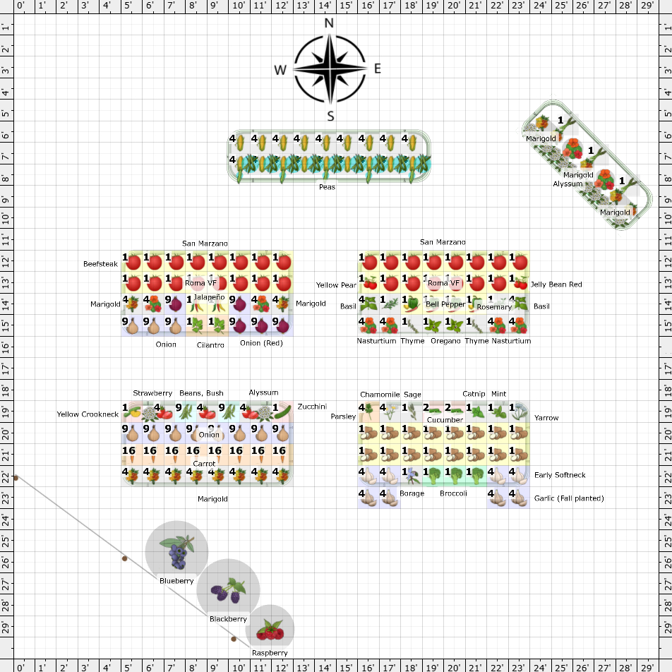 Garden Plan - 2025: Raised beds 2025