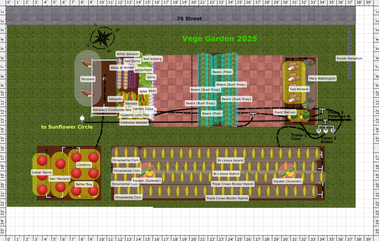 Garden Plan - 2025: Main Garden 2025
