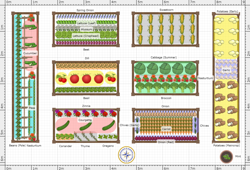 Garden Plan - 2025: issa's Garden