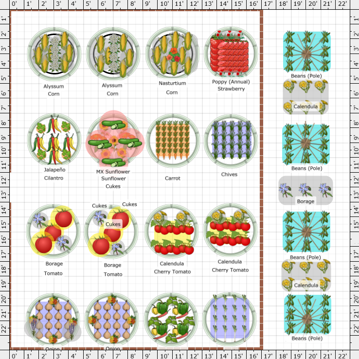 Vegetable Garden Planner | Garden Planning Apps