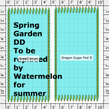 Garden Plan - 2026: DD Calvin 2026