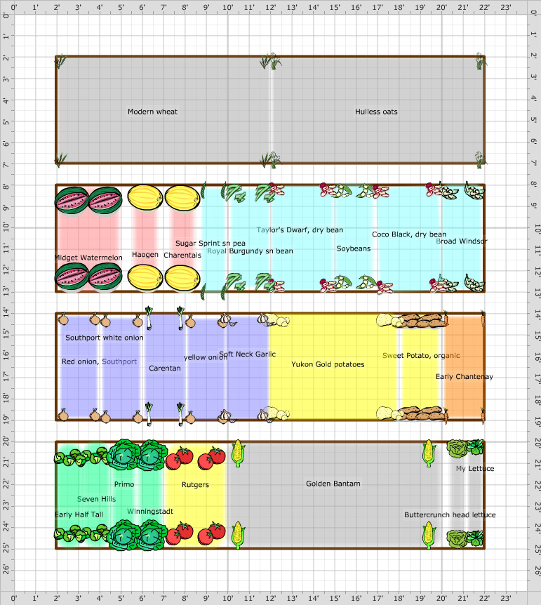 Garden Plan - Raised beds 2