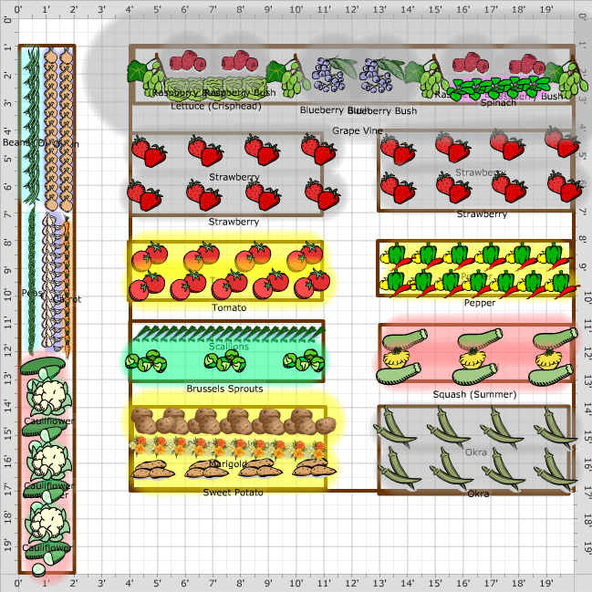 Garden Plan - 2012: The garden