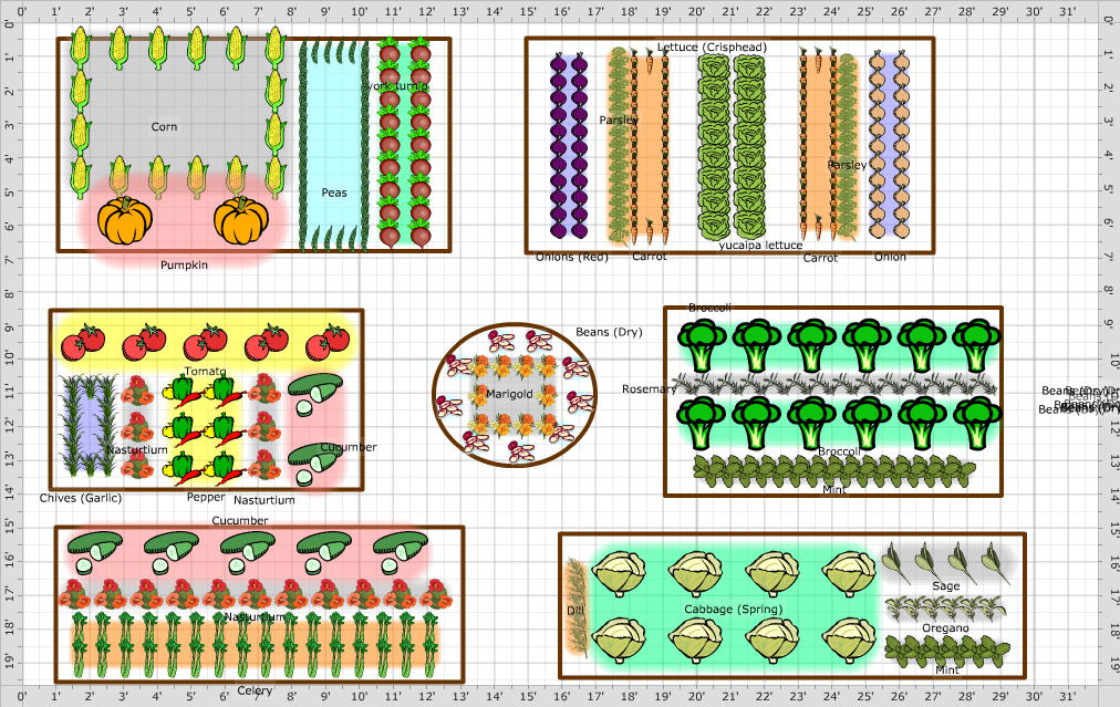 Garden Plan - 2012: vegetable 1