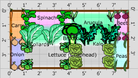 4x8 vegetable garden layout