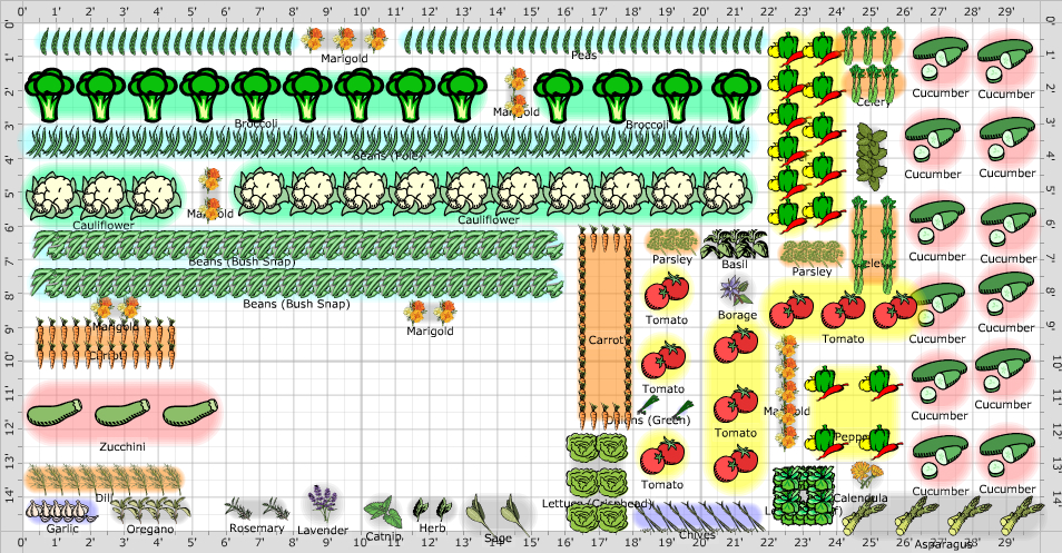 Garden Plan - 2012: summer veggies