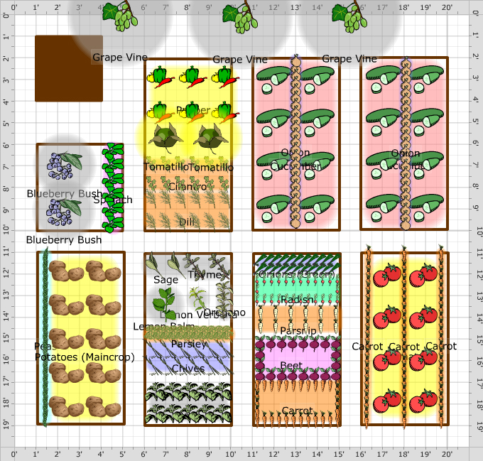 Garden Plan - Veggie Garden