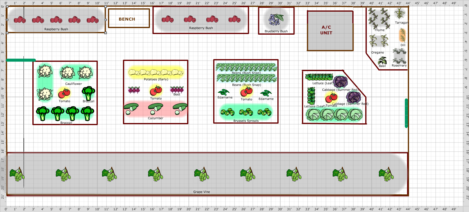 best vegetable garden layout plan