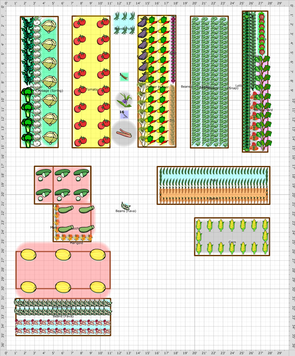 Garden Plan - 2013: Garden 2013